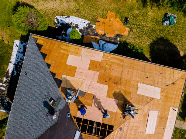 Best Storm Damage Roof Repair  in Ville Ptte, LA